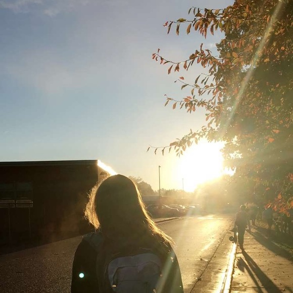 Meet your Posher, Elle - Picture 1 of 1